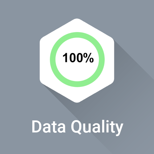 Data Quality 